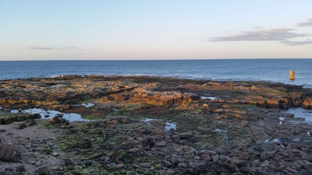 Whitley Bay and St Marys Island walk_20