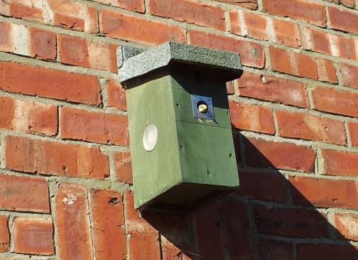 Happier times - 2014 box with young chick