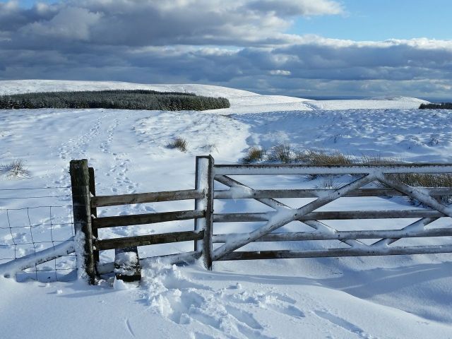 Wintry Windy Gyle walk March 2016_5