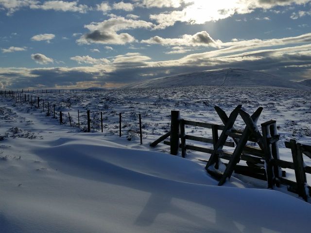 Wintry Windy Gyle walk March 2016_7