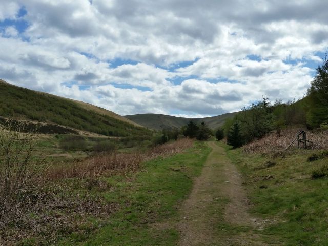 The Cheviot via the Hen Hole from Langleeford_17