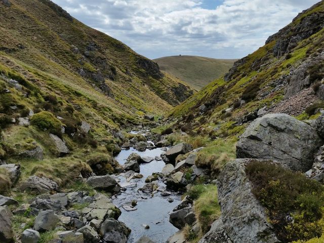 The Cheviot via the Hen Hole from Langleeford_25