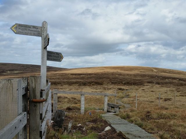The Cheviot via the Hen Hole from Langleeford_38