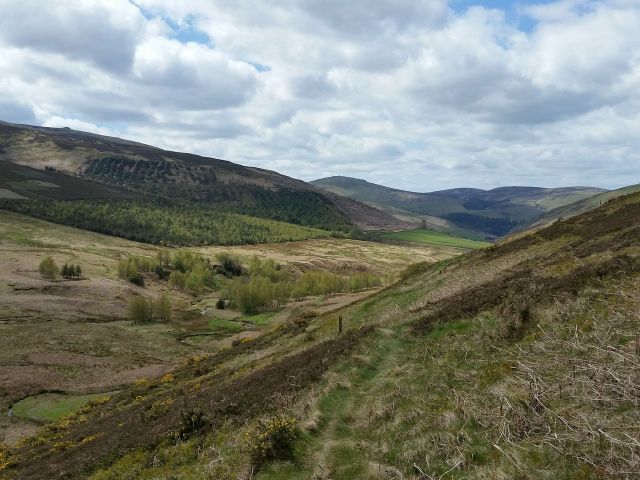 The Cheviot via the Hen Hole from Langleeford_9